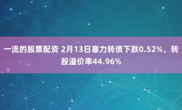 一流的股票配资 2月13日塞力转债下跌0.52%，转股溢价率44.96%