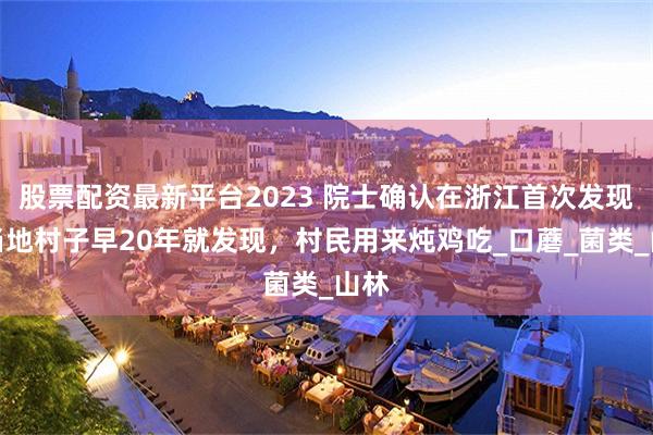 股票配资最新平台2023 院士确认在浙江首次发现，当地村子早20年就发现，村民用来炖鸡吃_口蘑_菌类_山林