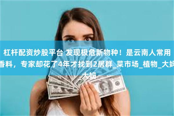 杠杆配资炒股平台 发现极危新物种！是云南人常用香料，专家却花了4年才找到2居群_菜市场_植物_大妈