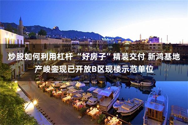 炒股如何利用杠杆 “好房子”精装交付 新鸿基地产峻銮现已开放B区现楼示范单位