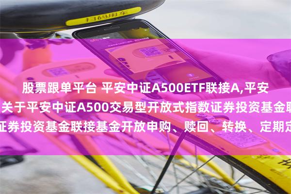股票跟单平台 平安中证A500ETF联接A,平安中证A500ETF联接C: 关于平安中证A500交易型开放式指数证券投资基金联接基金开放申购、赎回、转换、定期定额投资业务的公告