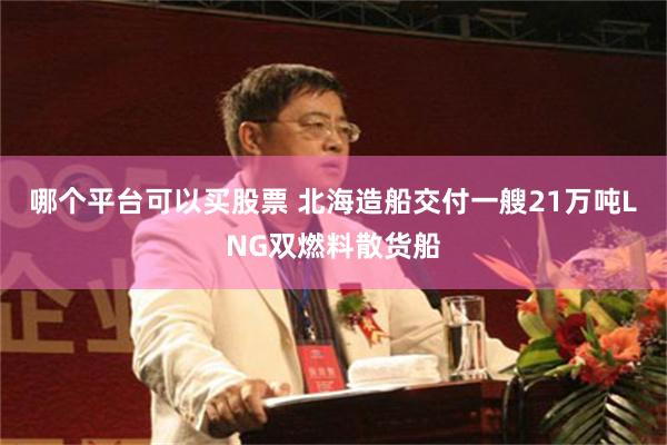 哪个平台可以买股票 北海造船交付一艘21万吨LNG双燃料散货船