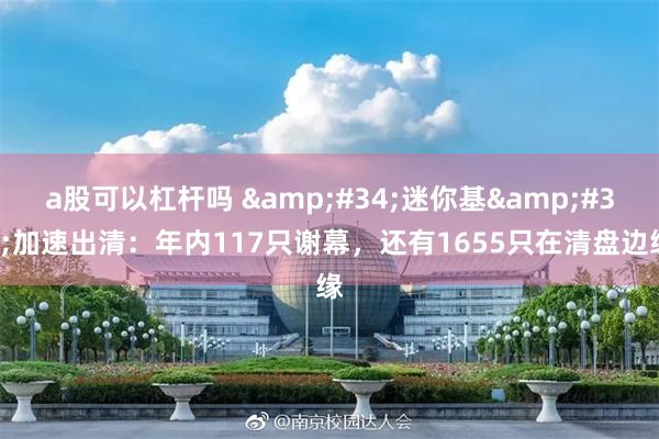 a股可以杠杆吗 &#34;迷你基&#34;加速出清：年内117只谢幕，还有1655只在清盘边缘