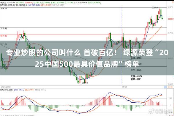 专业炒股的公司叫什么 首破百亿！ 绿源荣登“2025中国500最具价值品牌”榜单