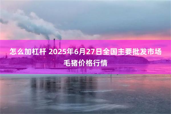 怎么加杠杆 2025年6月27日全国主要批发市场毛猪价格行情