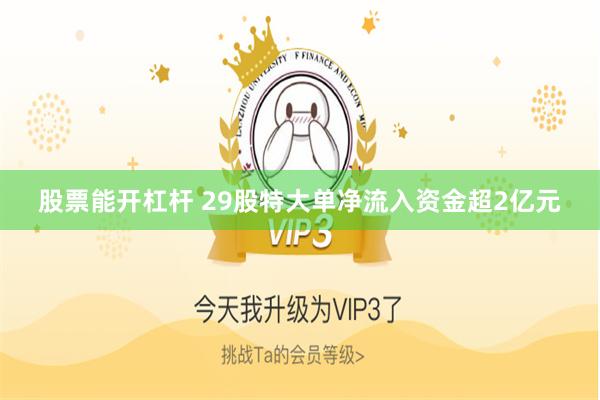 股票能开杠杆 29股特大单净流入资金超2亿元