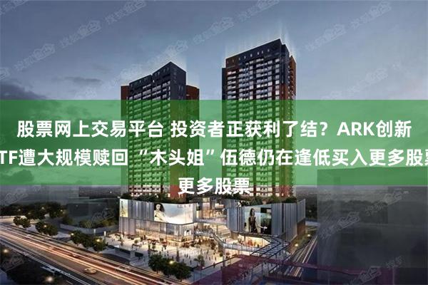 股票网上交易平台 投资者正获利了结？ARK创新ETF遭大规模赎回 “木头姐”伍德仍在逢低买入更多股票