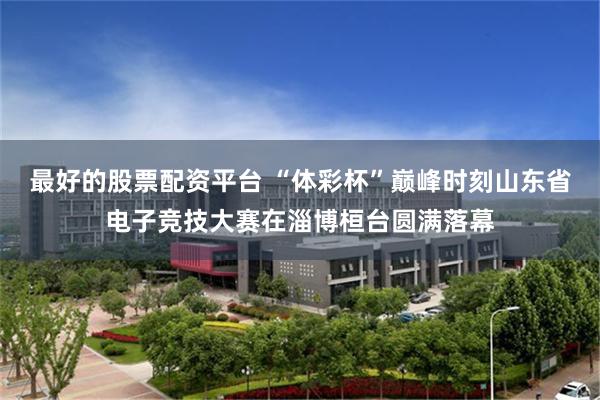 最好的股票配资平台 “体彩杯”巅峰时刻山东省电子竞技大赛在淄博桓台圆满落幕