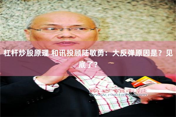 杠杆炒股原理 和讯投顾陆敏勇：大反弹原因是？见底了？