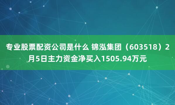 专业股票配资公司是什么 锦泓集团(603518)2月5日主力资金净买入1505.94万元