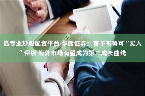 最专业炒股配资平台 华西证券：首予布鲁可“买入”评级 海外市场有望成为第二成长曲线