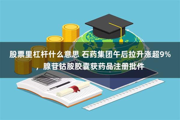 股票里杠杆什么意思 石药集团午后拉升涨超9%，腺苷钴胺胶囊获药品注册批件