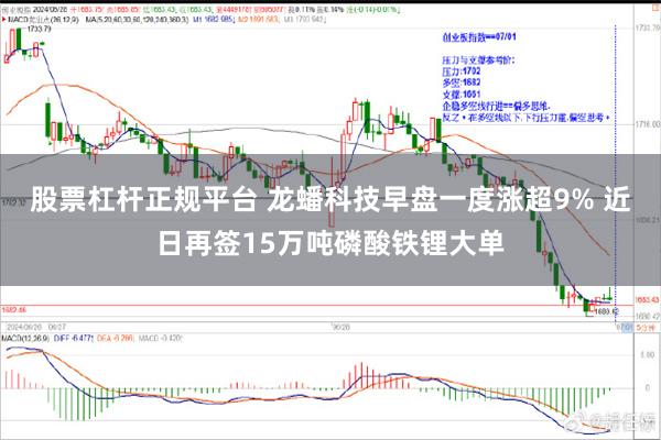 股票杠杆正规平台 龙蟠科技早盘一度涨超9% 近日再签15万吨磷酸铁锂大单
