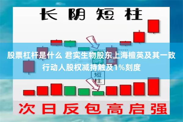 股票杠杆是什么 君实生物股东上海檀英及其一致行动人股权减持触及1%刻度
