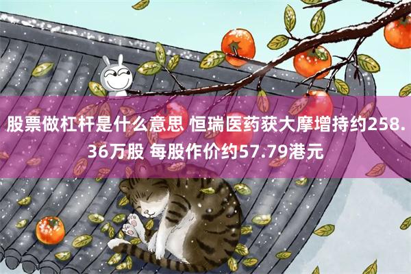 股票做杠杆是什么意思 恒瑞医药获大摩增持约258.36万股 每股作价约57.79港元