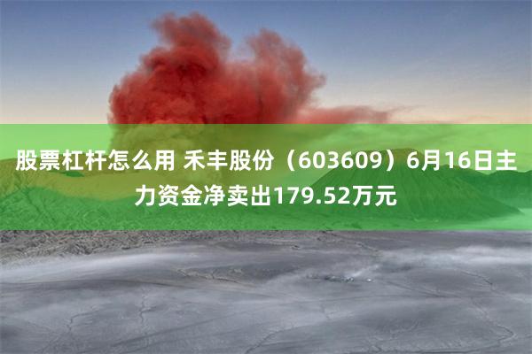 股票杠杆怎么用 禾丰股份（603609）6月16日主力资金净卖出179.52万元