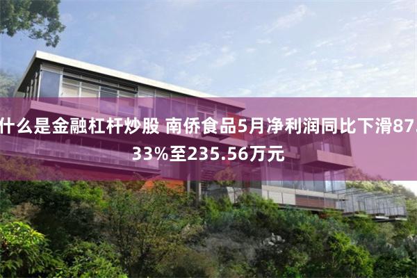 什么是金融杠杆炒股 南侨食品5月净利润同比下滑87.33%至235.56万元