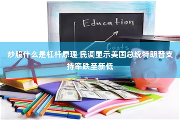 炒股什么是杠杆原理 民调显示美国总统特朗普支持率跌至新低