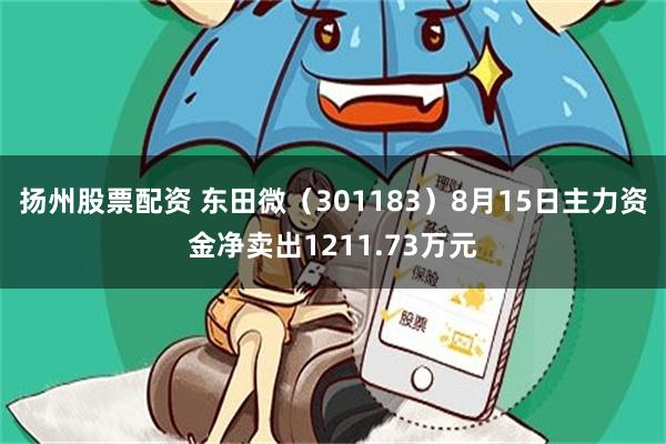 扬州股票配资 东田微(301183)8月15日主力资金净卖出1211.73万元