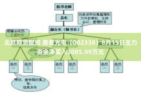 北京期货配资 奥普光电（002338）8月15日主力资金净买入3085.99万元