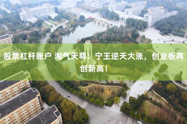 股票杠杆账户 淘气天尊：宁王逆天大涨，创业板再创新高！