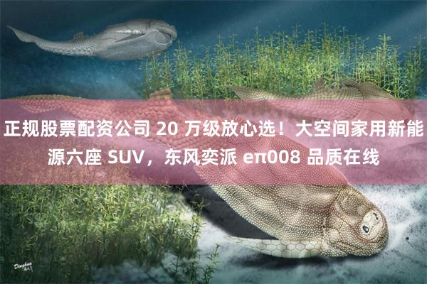 正规股票配资公司 20 万级放心选！大空间家用新能源六座 SUV，东风奕派 eπ008 品质在线