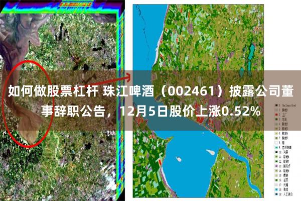 如何做股票杠杆 珠江啤酒（002461）披露公司董事辞职公告，12月5日股价上涨0.52%