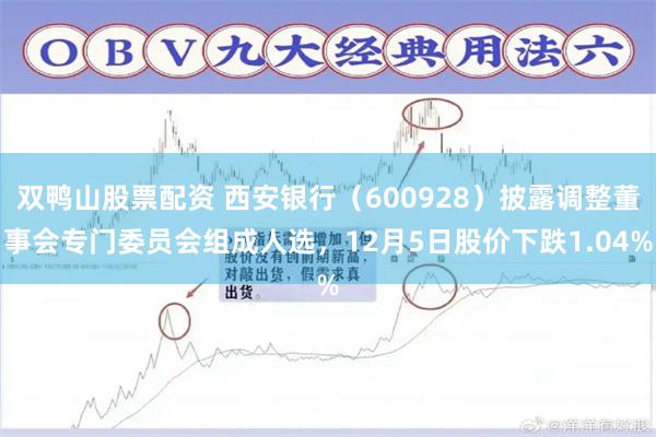 双鸭山股票配资 西安银行（600928）披露调整董事会专门委员会组成人选，12月5日股价下跌1.04%