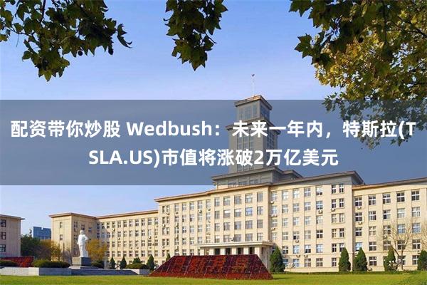 配资带你炒股 Wedbush：未来一年内，特斯拉(TSLA.US)市值将涨破2万亿美元