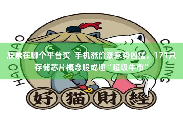 股票在哪个平台买  手机涨价潮来势凶猛，171只存储芯片概念股或迎“超级牛市”