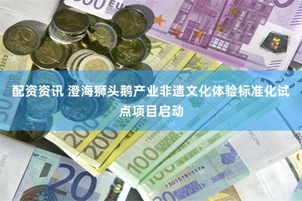 配资资讯 澄海狮头鹅产业非遗文化体验标准化试点项目启动
