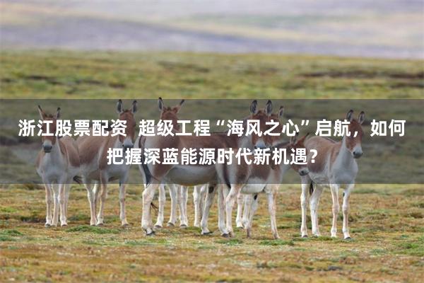 浙江股票配资  超级工程“海风之心”启航，如何把握深蓝能源时代新机遇？