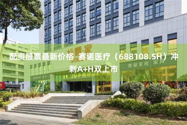 配资股票最新价格  赛诺医疗（688108.SH）冲刺A+H双上市