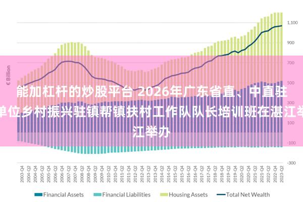 能加杠杆的炒股平台 2026年广东省直、中直驻粤单位乡村振兴驻镇帮镇扶村工作队队长培训班在湛江举办