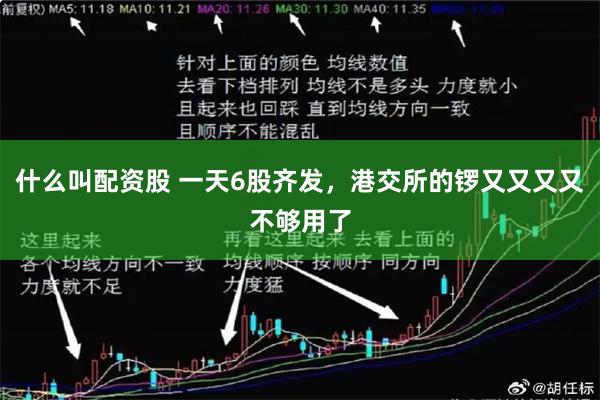 什么叫配资股 一天6股齐发，港交所的锣又又又又不够用了