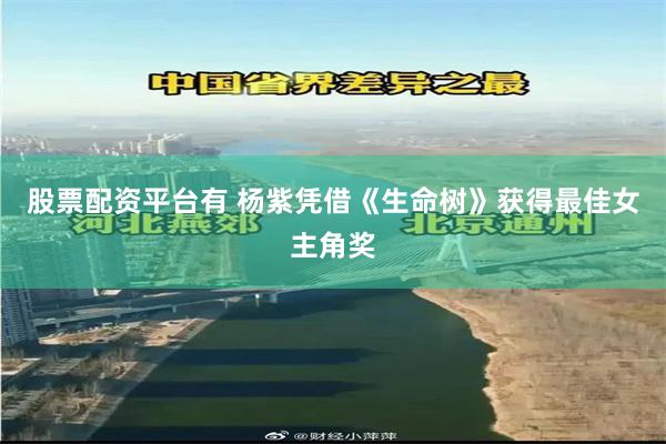 股票配资平台有 杨紫凭借《生命树》获得最佳女主角奖