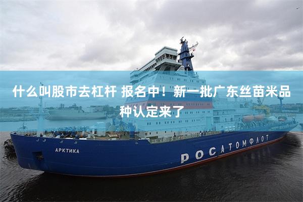 什么叫股市去杠杆 报名中！新一批广东丝苗米品种认定来了