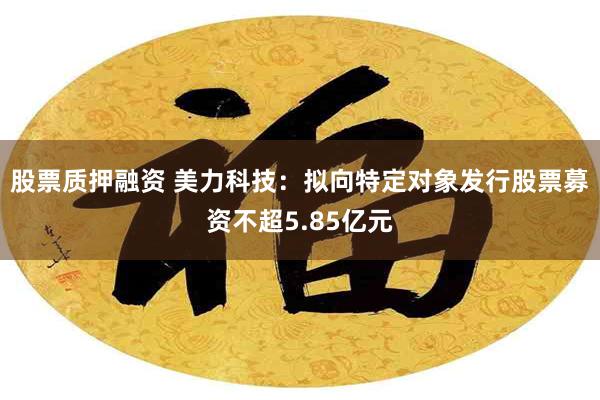 股票质押融资 美力科技：拟向特定对象发行股票募资不超5.85亿元