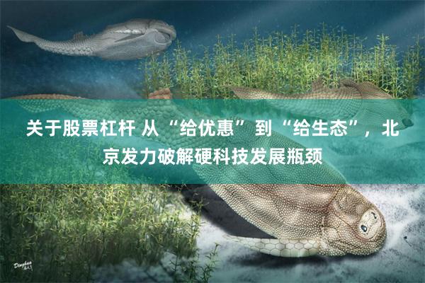 关于股票杠杆 从 “给优惠” 到 “给生态”，北京发力破解硬科技发展瓶颈