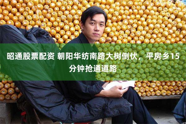 昭通股票配资 朝阳华纺南路大树倒伏，平房乡15分钟抢通道路