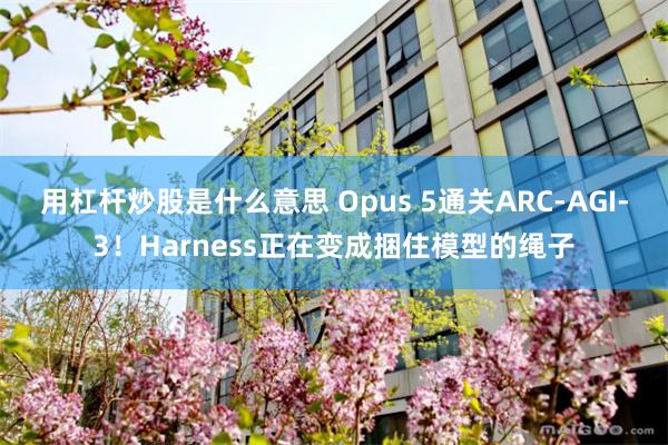 用杠杆炒股是什么意思 Opus 5通关ARC-AGI-3！Harness正在变成捆住模型的绳子