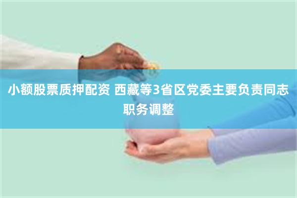小额股票质押配资 西藏等3省区党委主要负责同志职务调整