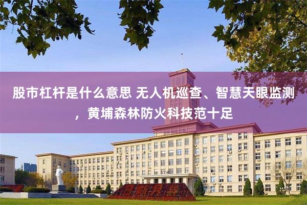 股市杠杆是什么意思 无人机巡查、智慧天眼监测，黄埔森林防火科技范十足