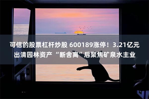 可信的股票杠杆炒股 600189涨停！3.21亿元出清园林资产 “断舍离”后聚焦矿泉水主业