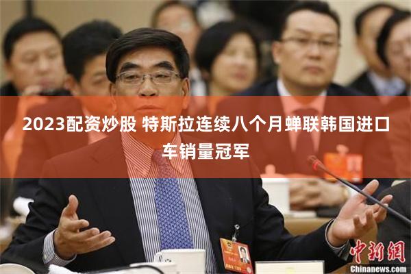 2023配资炒股 特斯拉连续八个月蝉联韩国进口车销量冠军