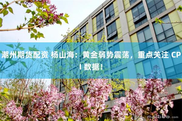 潮州期货配资 杨山海:黄金弱势震荡,重点关注 CPI 数据!