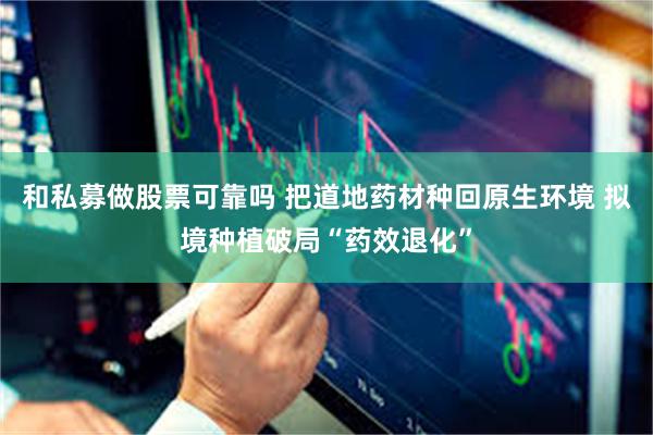 和私募做股票可靠吗 把道地药材种回原生环境 拟境种植破局“药效退化”